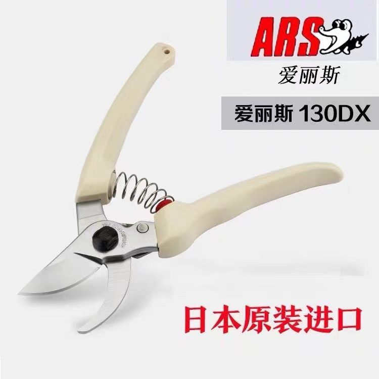 Gardening Tools Japan - Forbici da potatura, attrezzi da giardino,