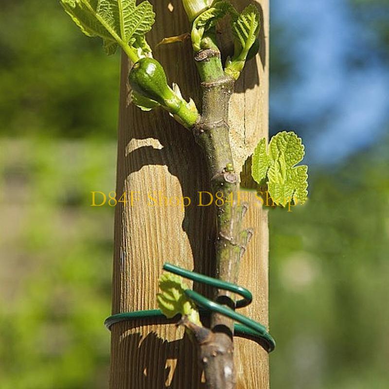 Garden Wire Twist Tie - D84F 2.5mmx10m Verde Morbido Cravatta per