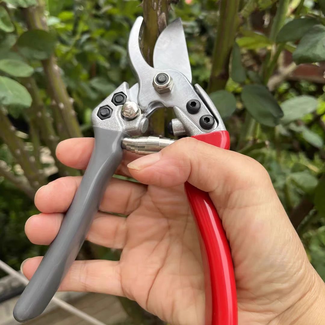Gardening Tools Japan - Forbici da Potatura Giapponesi VVT Nuove