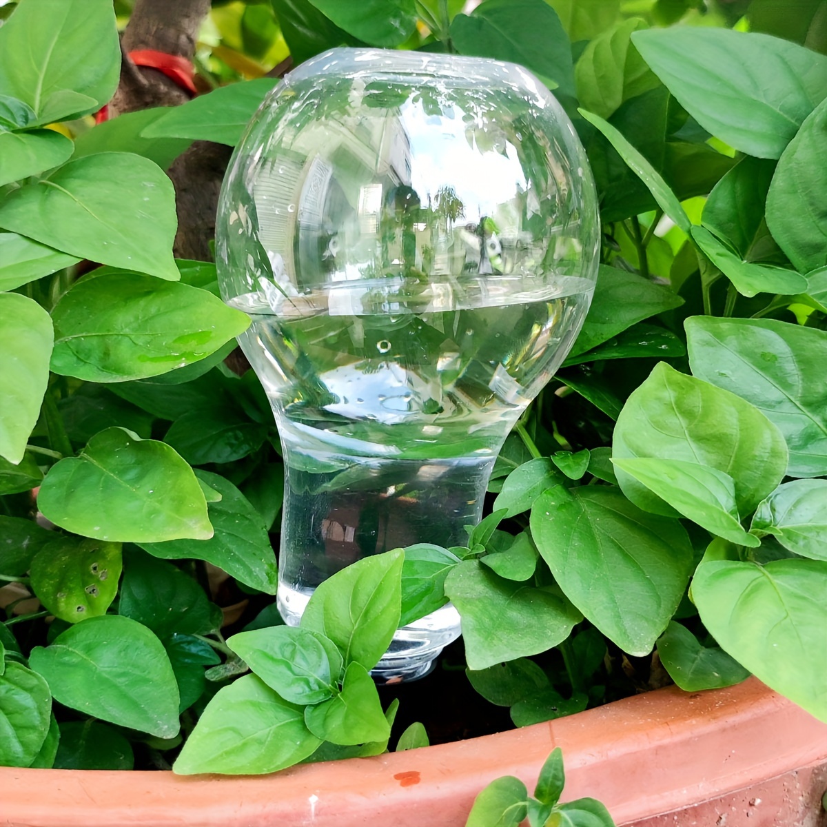 Strumento di irrigazione autom - Gardening Tools Diy recensione e prezzo