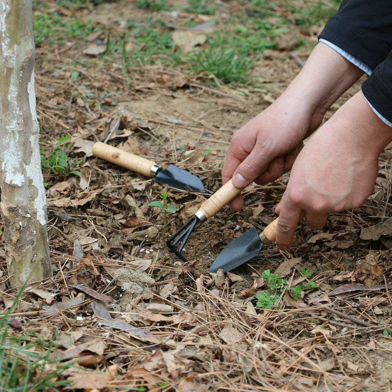 3 pz/set Mini Set di Attrezzi  - Gardening Tools For Digging recensione e prezzo