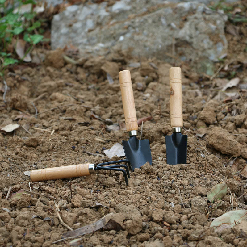 3 pz/set Mini Set di Attrezzi  - Gardening Tools For Digging recensione e prezzo