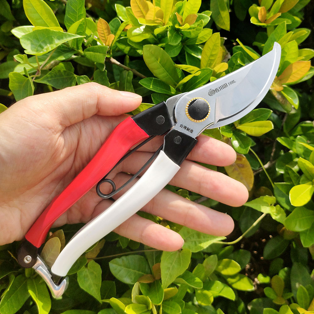Taiwan sakwada 168l attrezzi d - Gardening Tools Japan recensione e prezzo