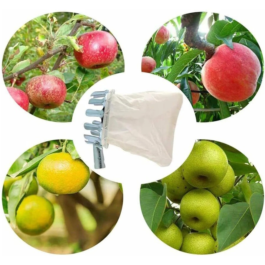 Set di Attrezzi 3-in-1 per la  - Gardening Tools Bag recensione e prezzo