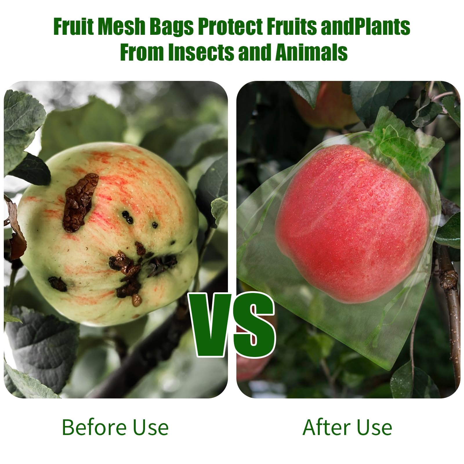 Nuove Reti Protettive per Frut - Gardening Tools Bag recensione e prezzo