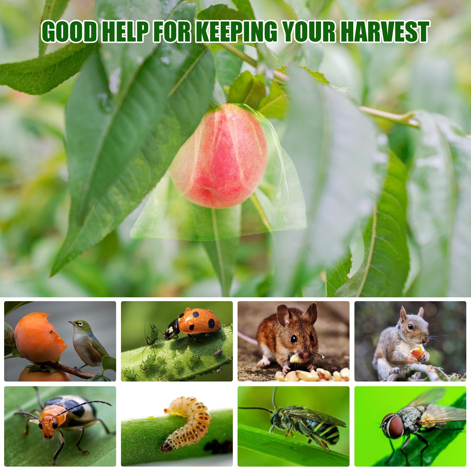 Nuove Reti Protettive per Frut - Gardening Tools Bag recensione e prezzo