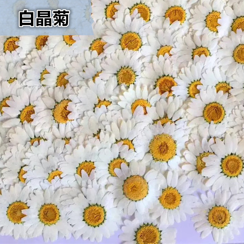 100 Pezzi di Fiori Secchi Natu - Gardening Tools Diy recensione e prezzo
