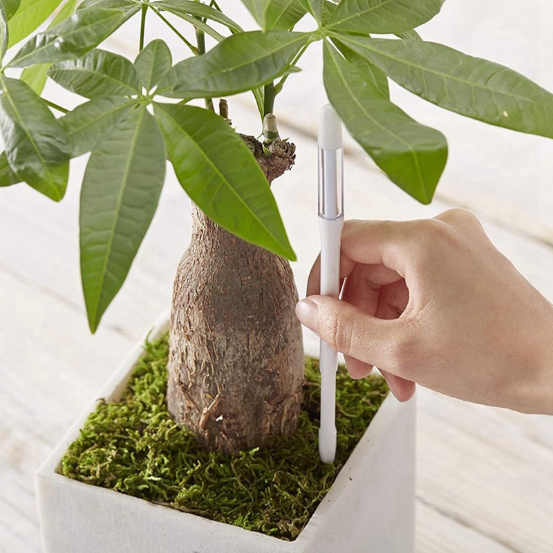 Aquameter, 5 pezzi, sensore di - Moisture Meter Plant recensione e prezzo