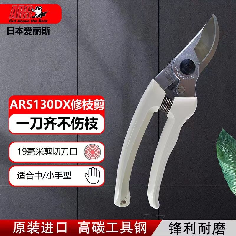 Forbici da potatura, attrezzi  - Gardening Tools Japan recensione e prezzo