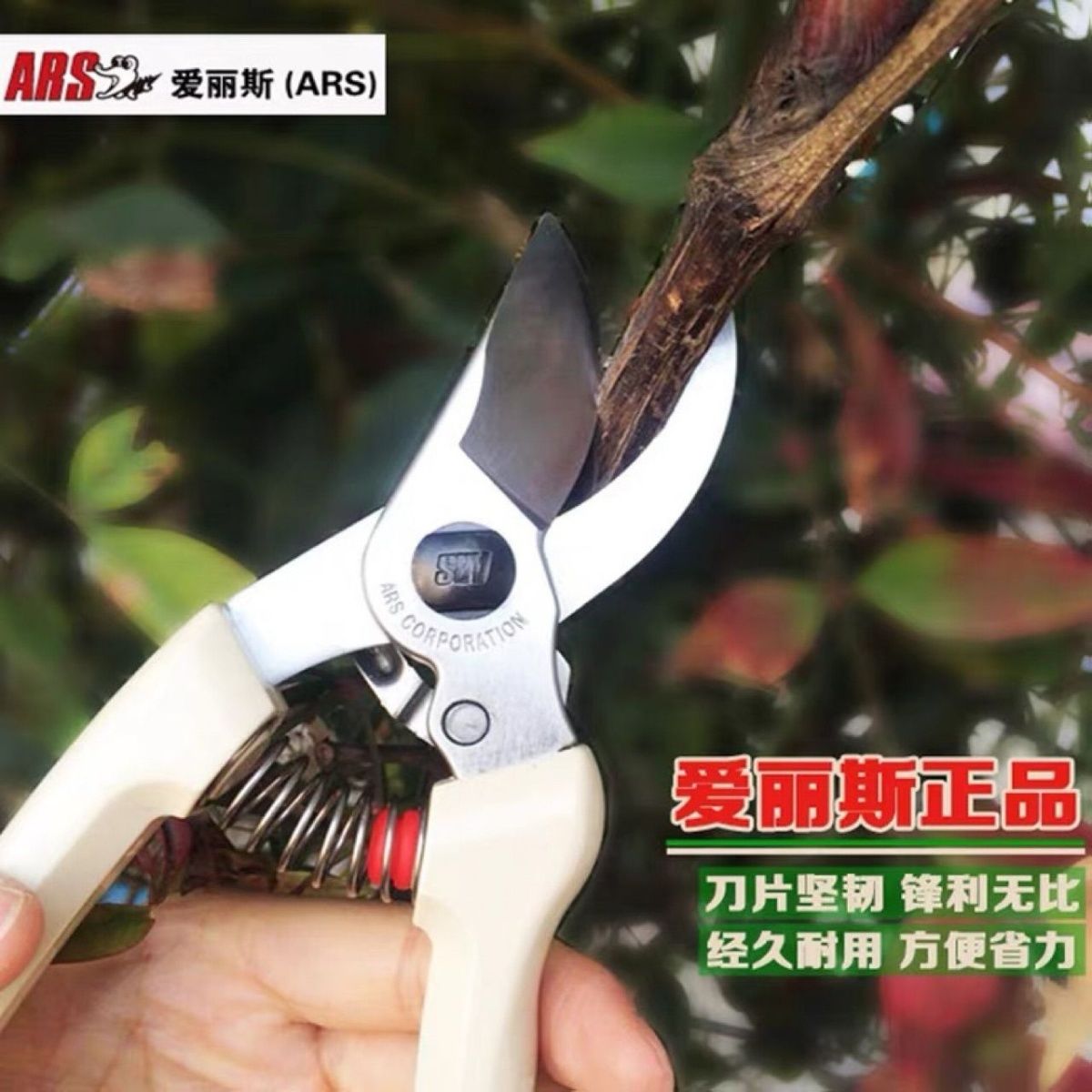 Forbici da potatura, attrezzi  - Gardening Tools Japan recensione e prezzo