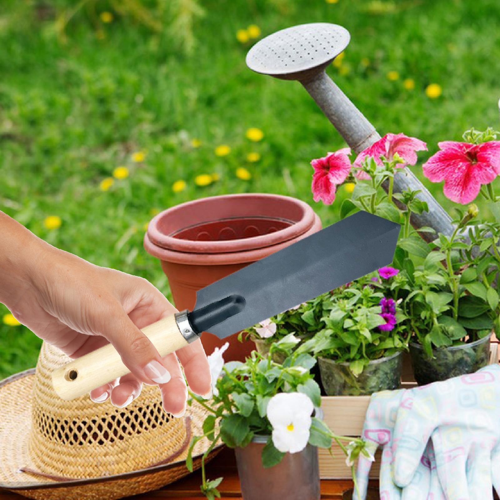 Piccola pala da giardino per s - Gardening Tools Trowel recensione e prezzo