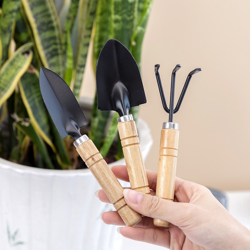 Set di 3 Mini Attrezzi da Giar - Gardening Tools For Digging recensione e prezzo