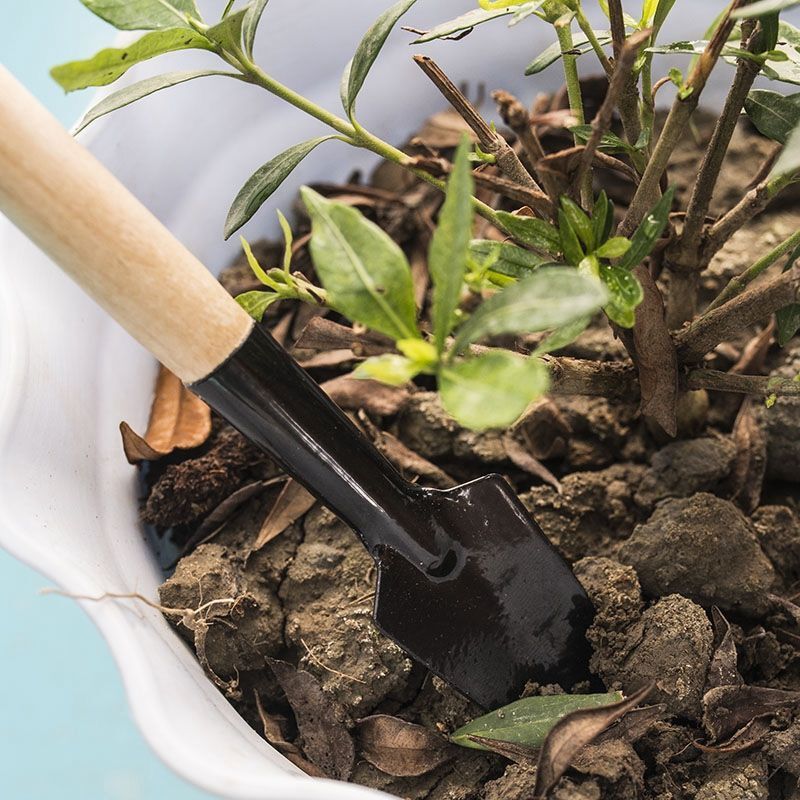 Set di 3 Mini Attrezzi da Giar - Gardening Tools For Digging recensione e prezzo