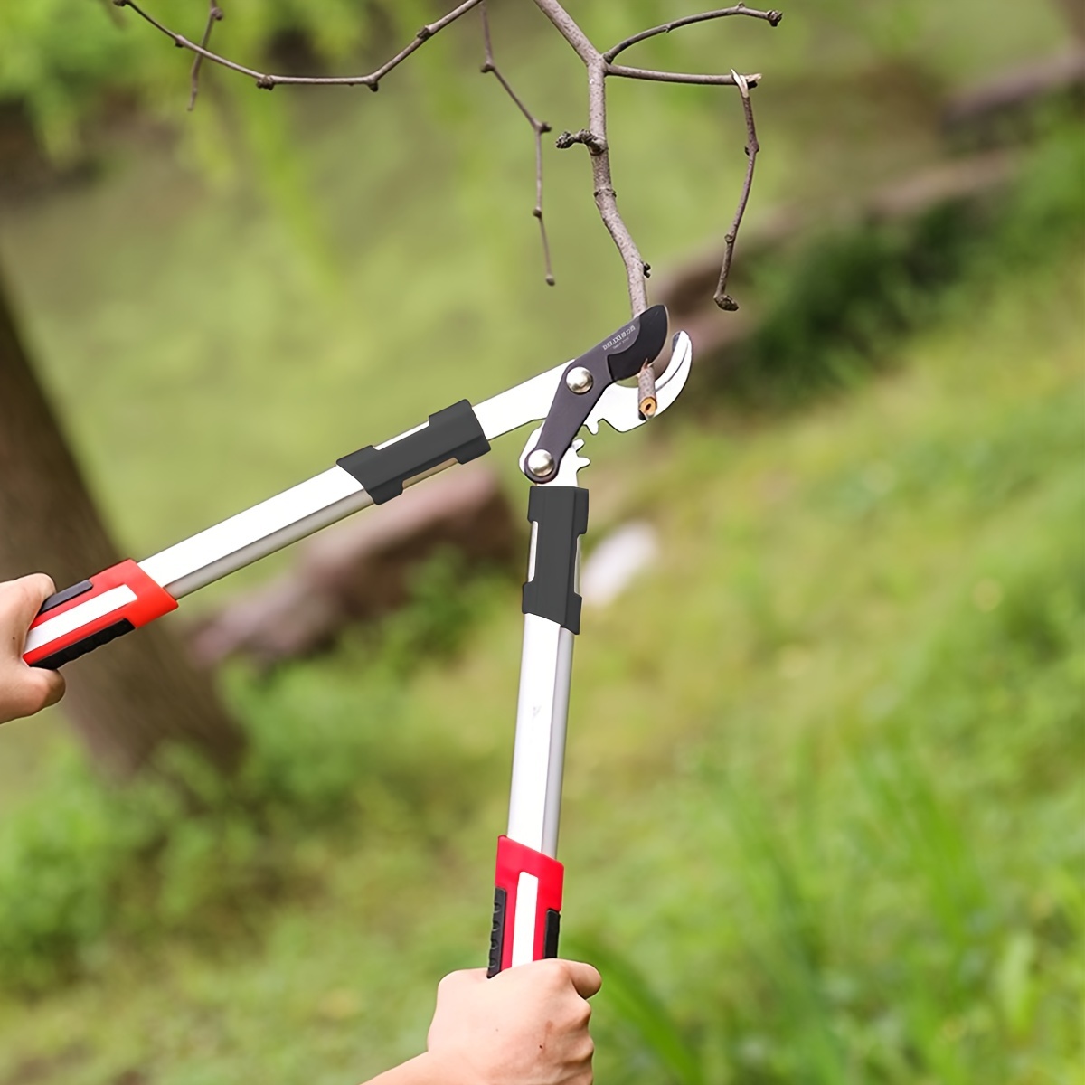 Forbici da Potatura Profession - Gardening Tools Bag recensione e prezzo