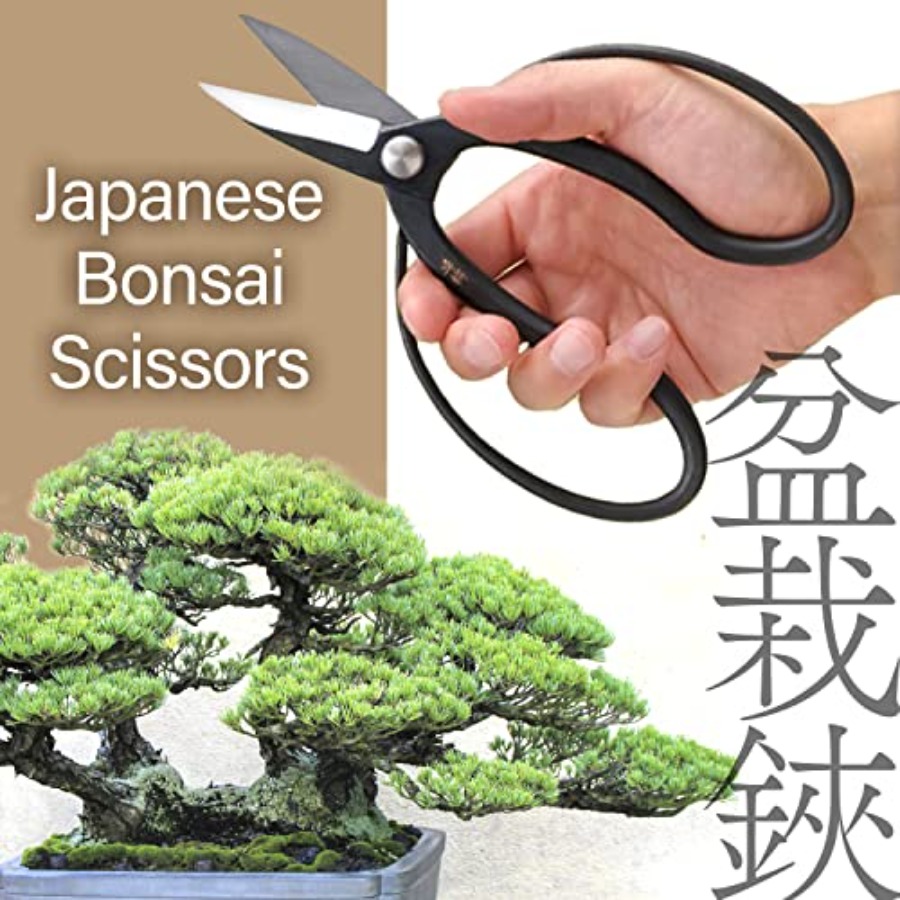 Forbici Giapponesi per Bonsai  - Gardening Tools Japan recensione e prezzo