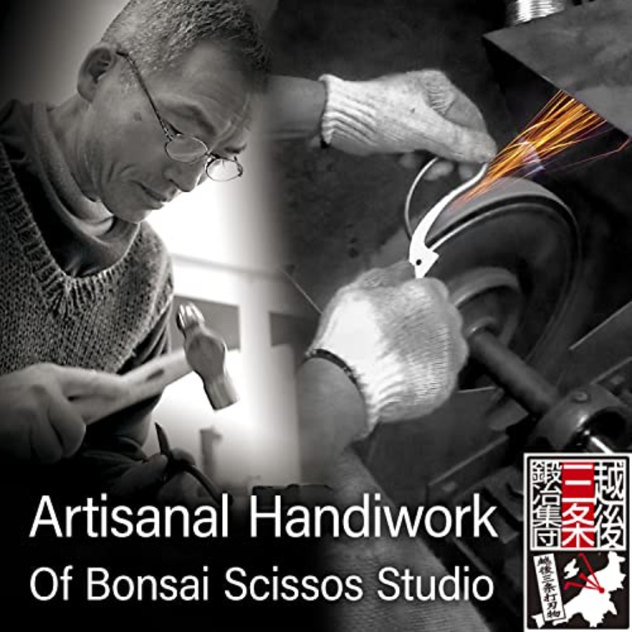 Forbici Giapponesi per Bonsai  - Gardening Tools Japan recensione e prezzo