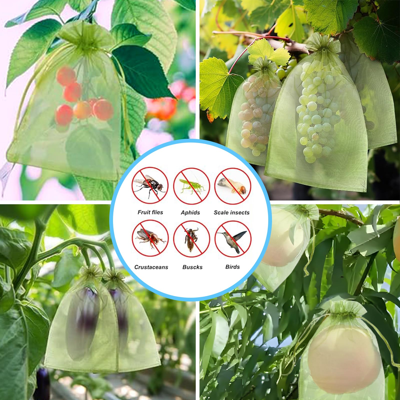 Rete Anti-Uccelli Efficace, Sa - Gardening Tools Bag recensione e prezzo