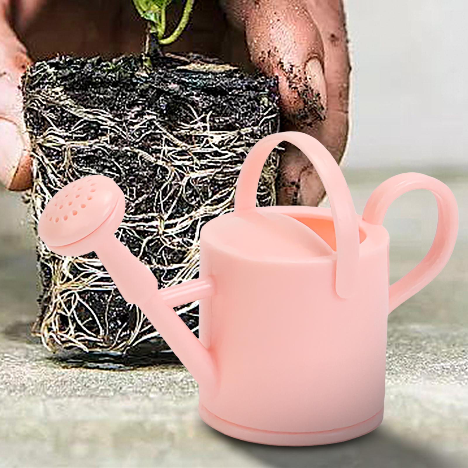 Piccolo annaffiatoio per bambi - Gardening Tools Diy recensione e prezzo