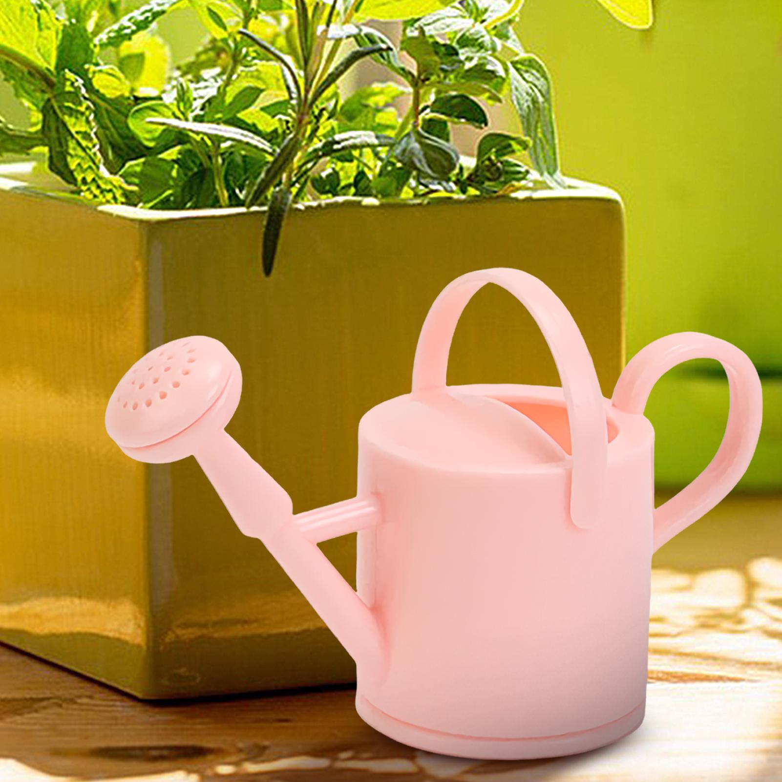 Piccolo annaffiatoio per bambi - Gardening Tools Diy recensione e prezzo