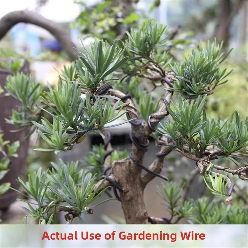 Fili per Bonsai da 1,5 mm in A - Gardening Tools Diy recensione e prezzo