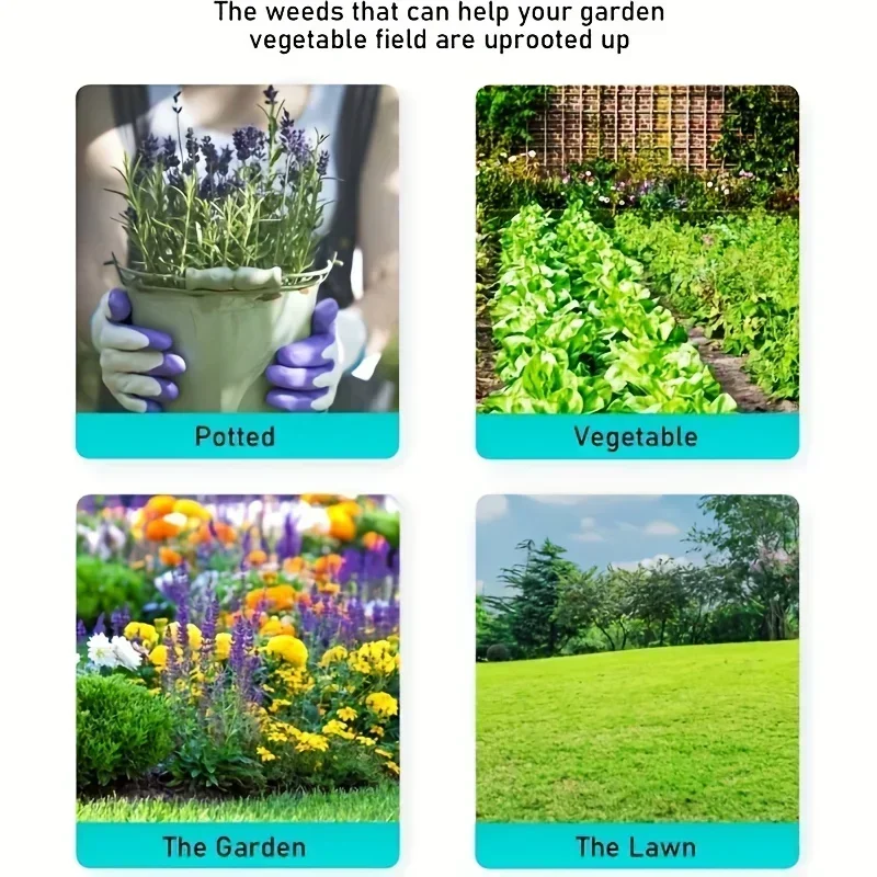 Testa da diserbo nera Sostituz - Gardening Tools For Digging recensione e prezzo
