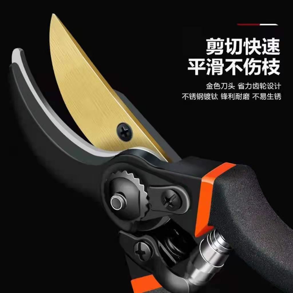 Forbici da Giardino in Acciaio - Gardening Tools Japan recensione e prezzo