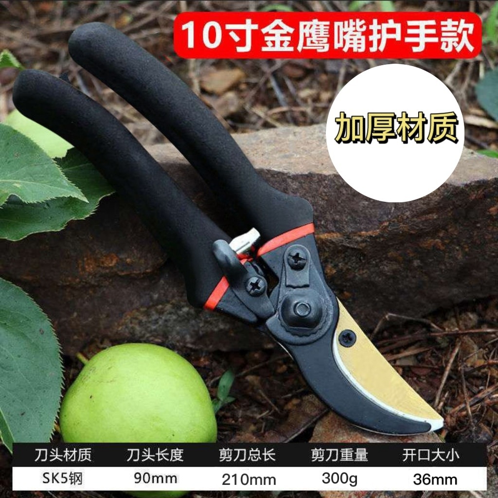 Forbici da Giardino in Acciaio - Gardening Tools Japan recensione e prezzo