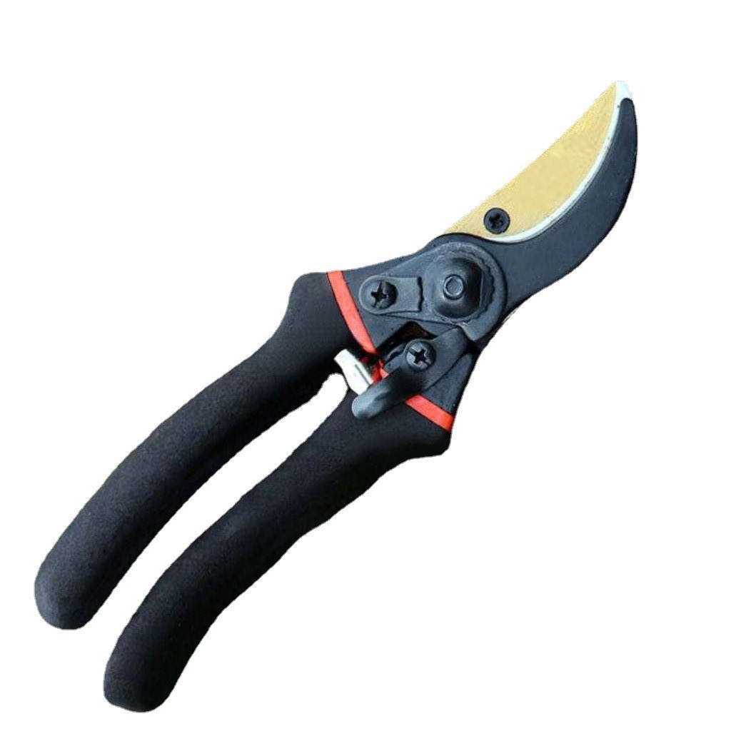Forbici da Giardino in Acciaio - Gardening Tools Japan recensione e prezzo