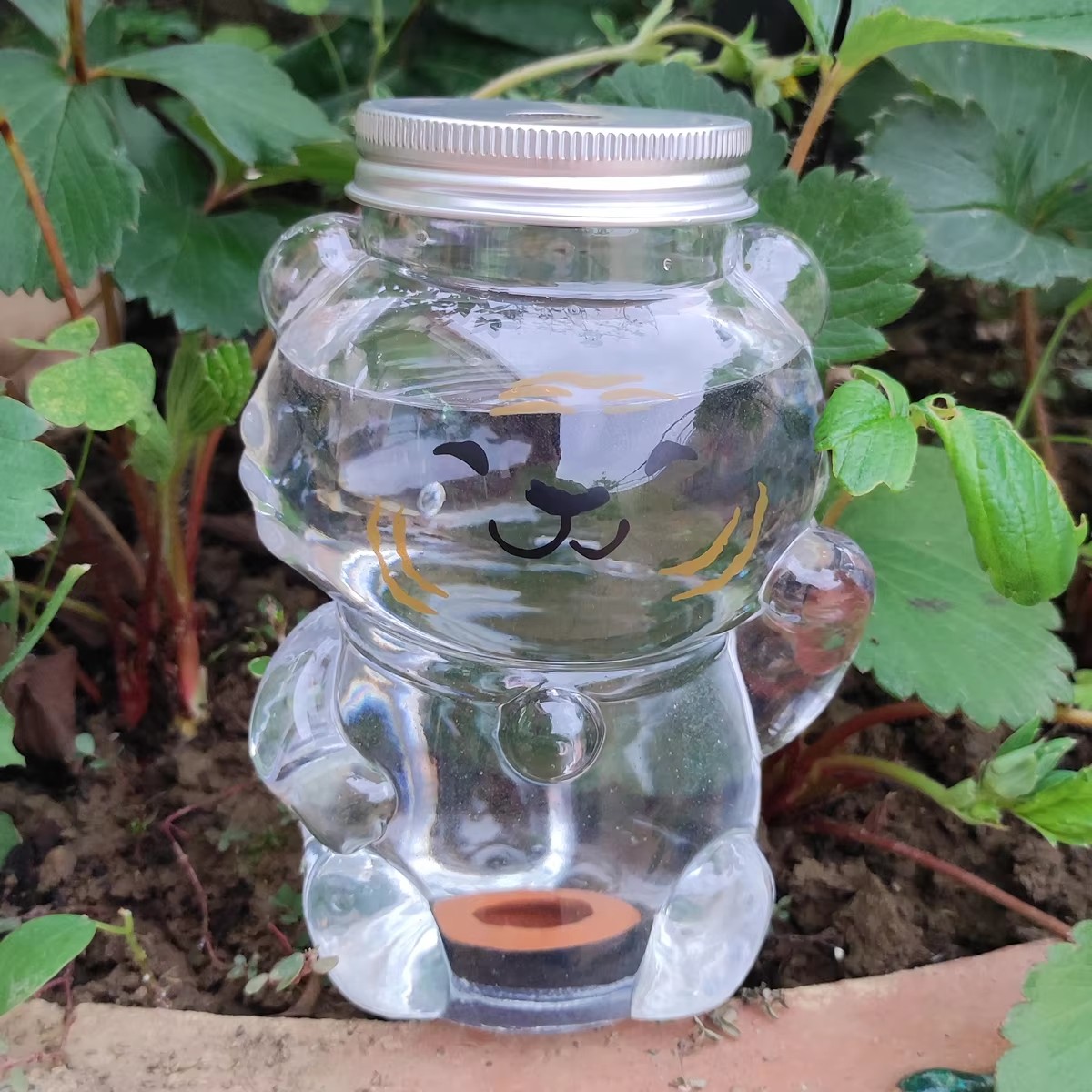 Dispositivo di irrigazione aut - Gardening Tools Water recensione e prezzo