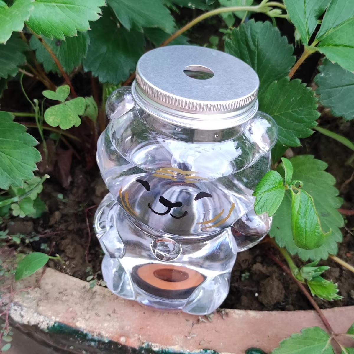 Dispositivo di irrigazione aut - Gardening Tools Water recensione e prezzo