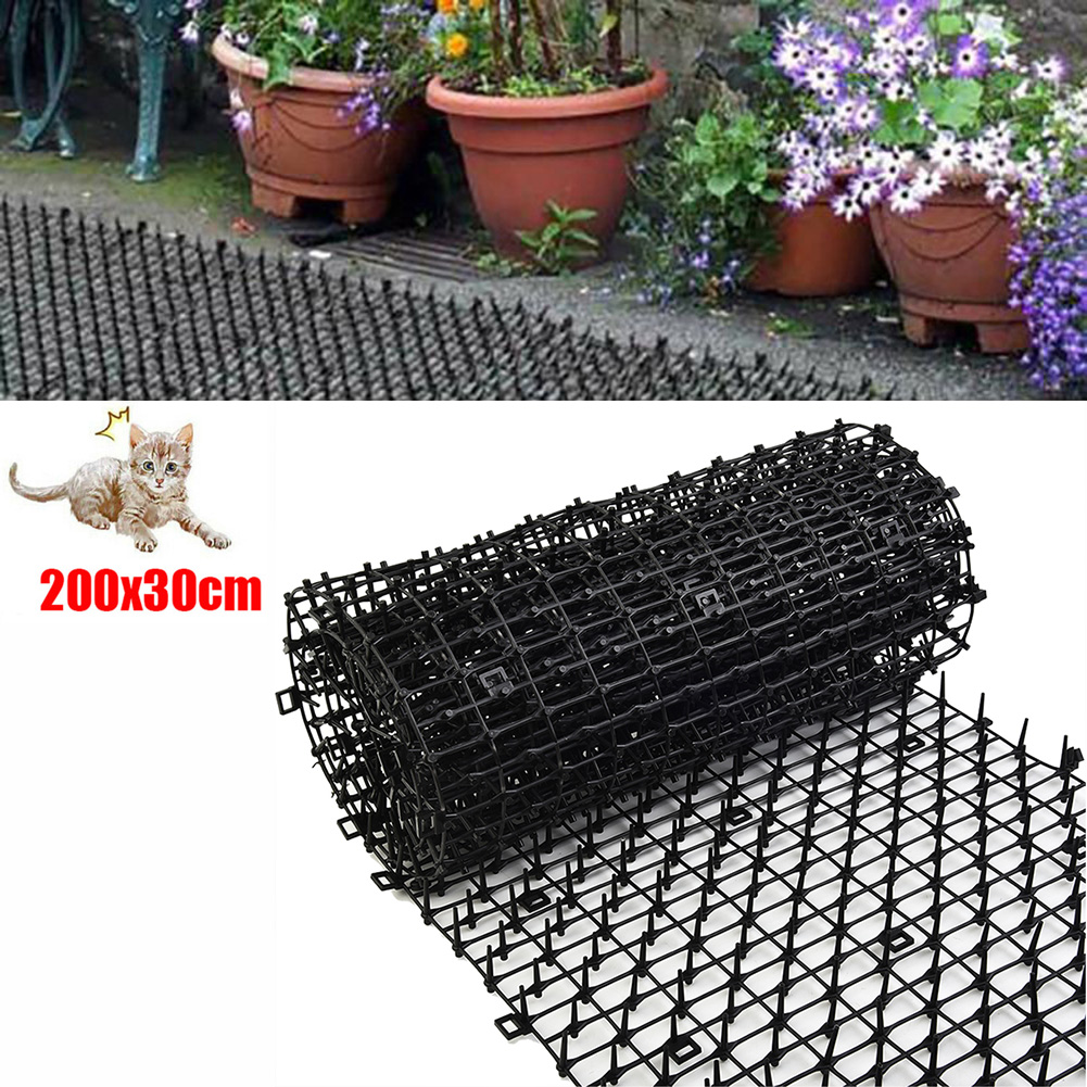 2M Giardinaggio Parassita Cane - Gardening Tools For Digging recensione e prezzo
