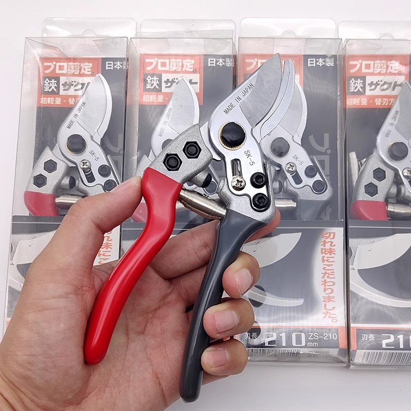 Forbici da Potatura Giapponesi - Gardening Tools Japan recensione e prezzo