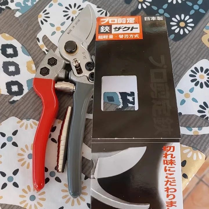 Forbici da Potatura Giapponesi - Gardening Tools Japan recensione e prezzo